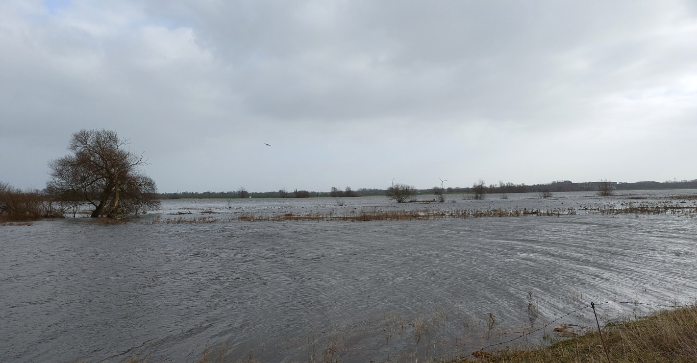 You are currently viewing Borgfelder Wümmewiesen