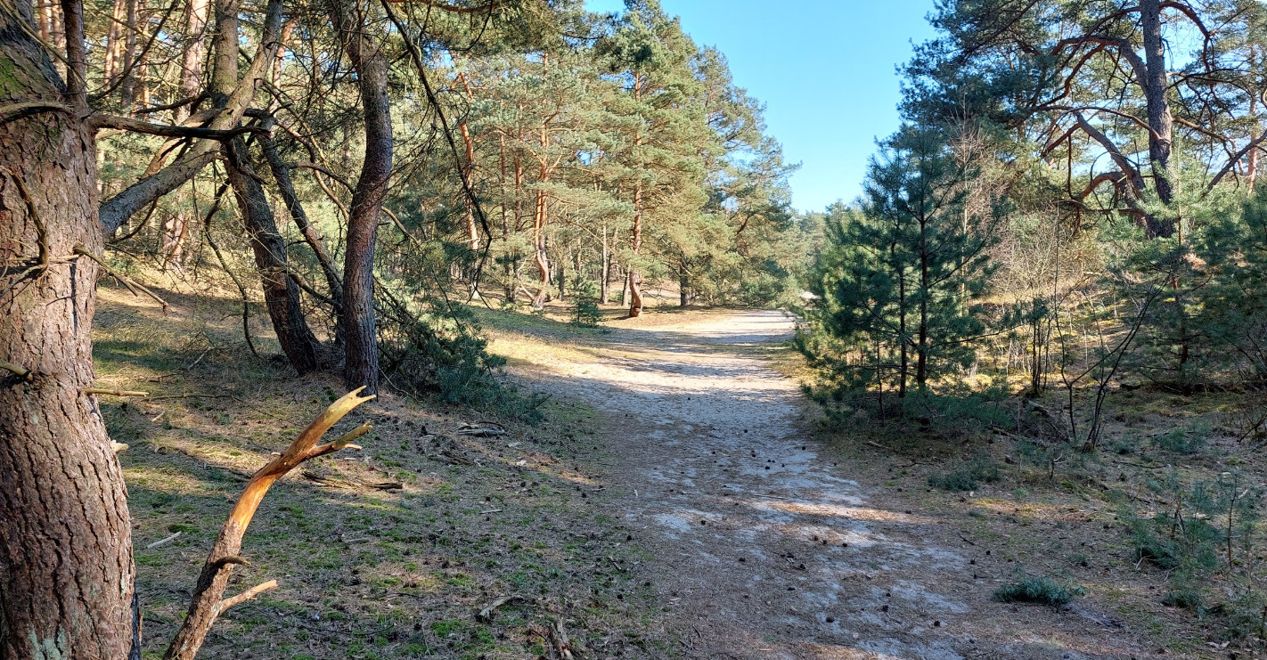 You are currently viewing Vossberge bei Sottrum