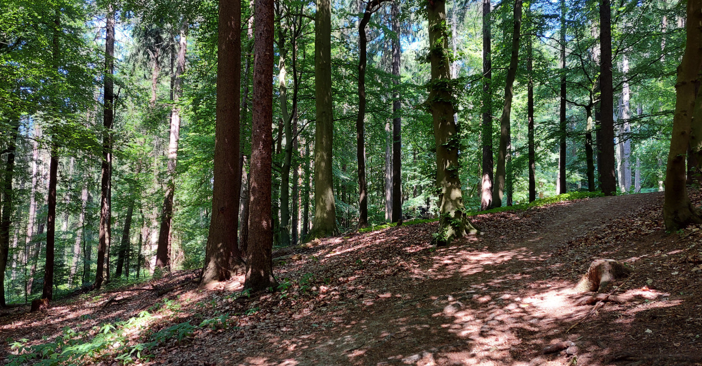 You are currently viewing Wildpark Schwarze Berge